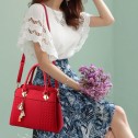Geanta dama Hailey Black*