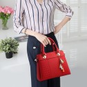 Geanta dama Hailey Black*